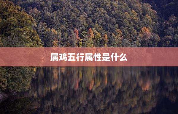 属鸡五行属性是什么