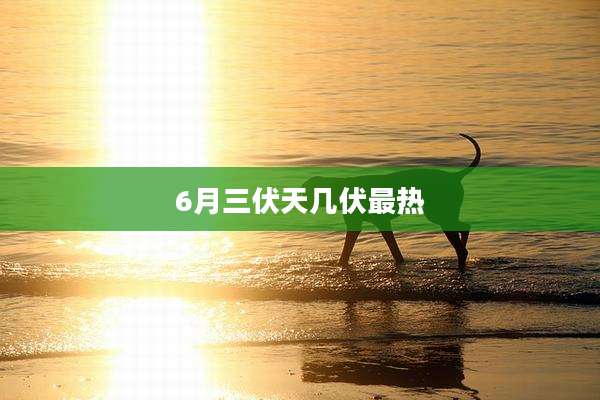 6月三伏天几伏最热