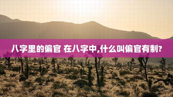 八字里的偏官 在八字中,什么叫偏官有制?