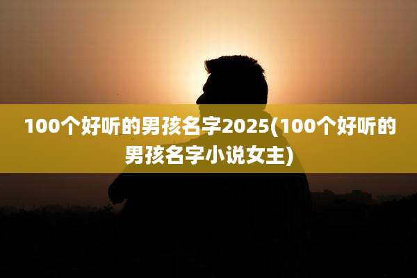 100个好听的男孩名字2025(100个好听的男孩名字小说女主)
