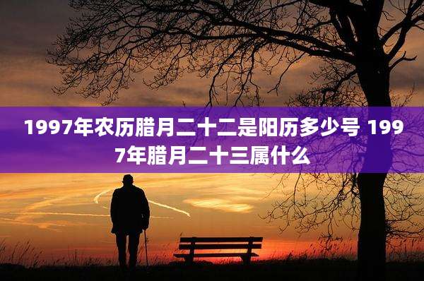 1997年农历腊月二十二是阳历多少号 1997年腊月二十三属什么