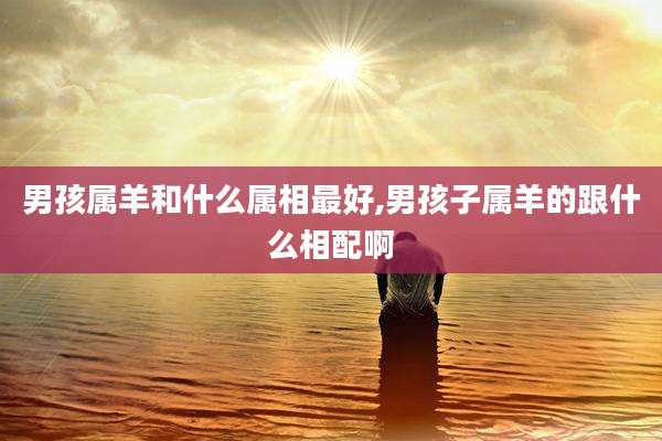 男孩属羊和什么属相最好,男孩子属羊的跟什么相配啊