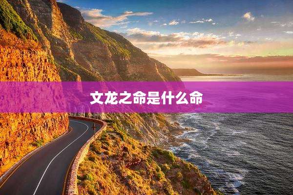 文龙之命是什么命