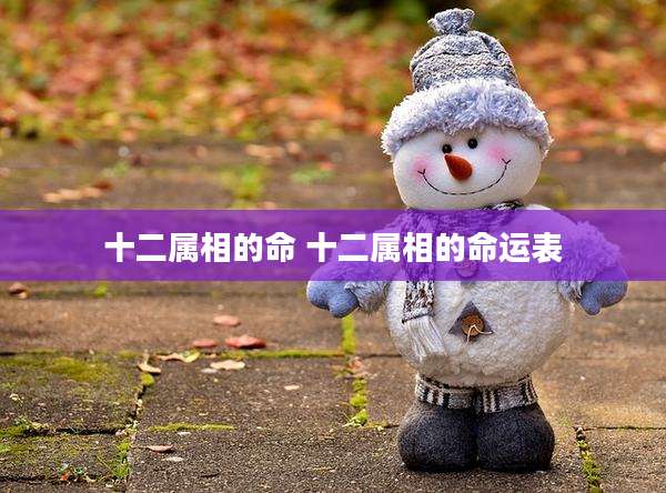 十二属相的命 十二属相的命运表