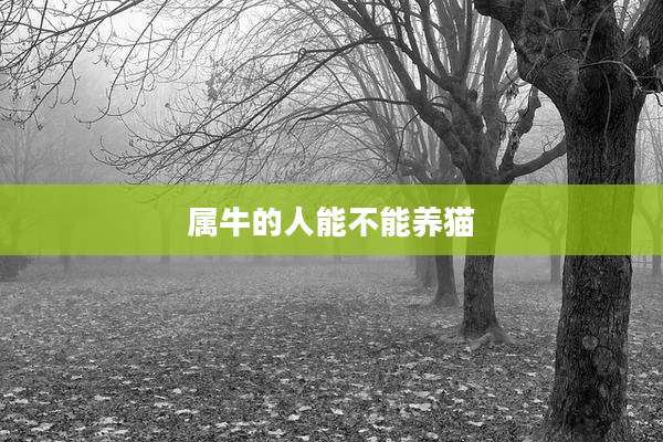 属牛的人能不能养猫