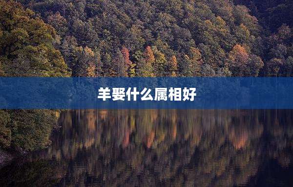 羊娶什么属相好