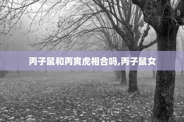 丙子鼠和丙寅虎相合吗,丙子鼠女