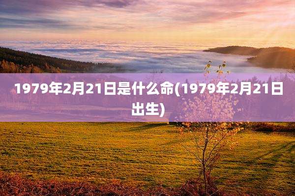 1979年2月21日是什么命(1979年2月21日出生)