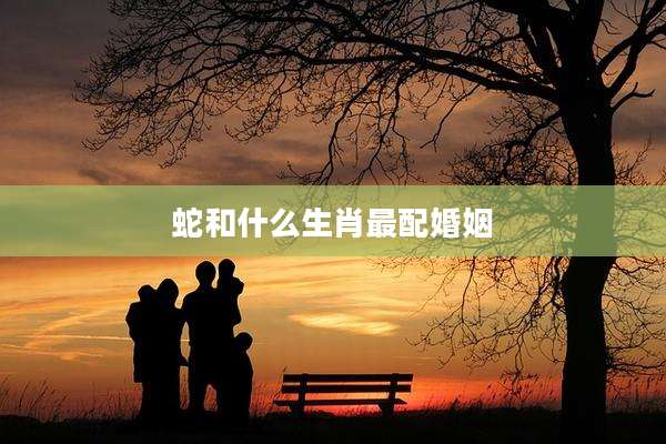 蛇和什么生肖最配婚姻