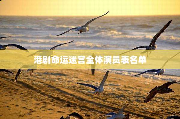 港剧命运迷宫全体演员表名单