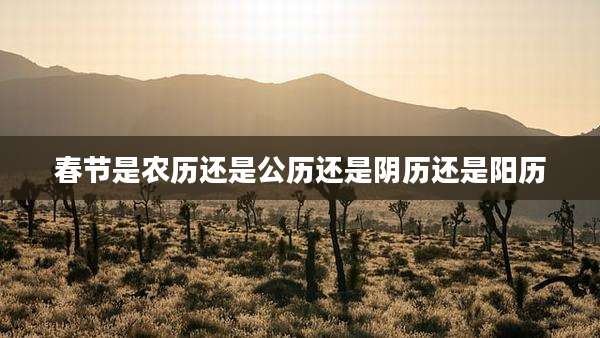 春节是农历还是公历还是阴历还是阳历