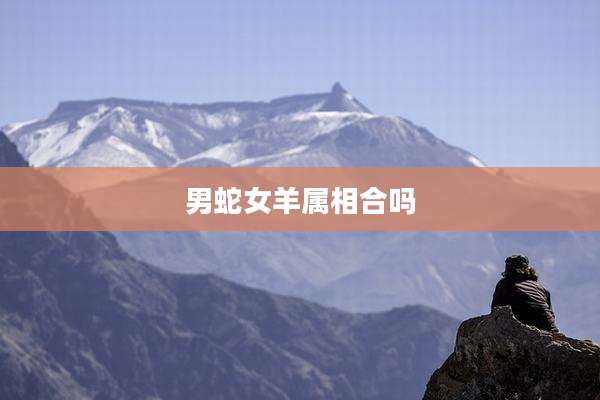 男蛇女羊属相合吗