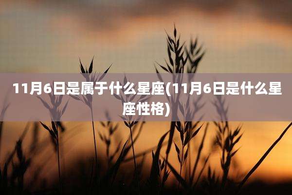 11月6日是属于什么星座(11月6日是什么星座性格)