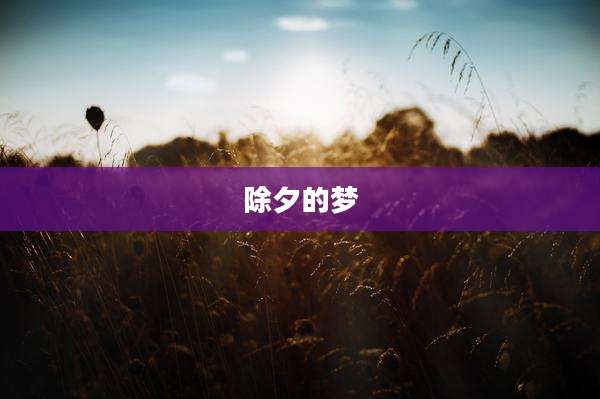 除夕的梦
