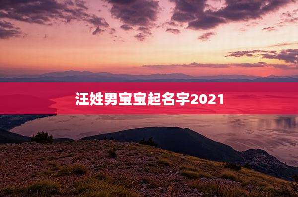 汪姓男宝宝起名字2021