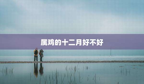 属鸡的十二月好不好