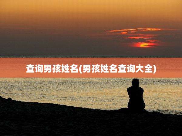 查询男孩姓名(男孩姓名查询大全)
