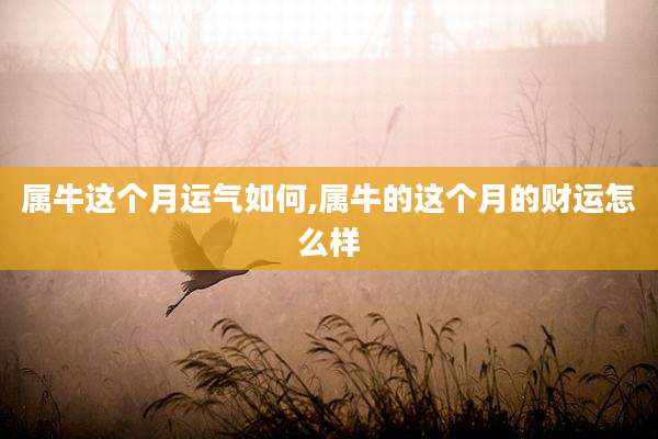 属牛这个月运气如何,属牛的这个月的财运怎么样