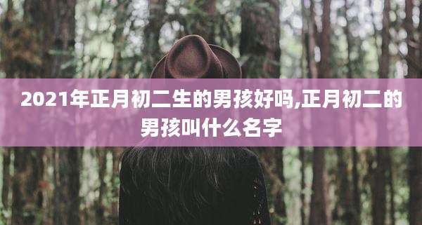 2021年正月初二生的男孩好吗,正月初二的男孩叫什么名字