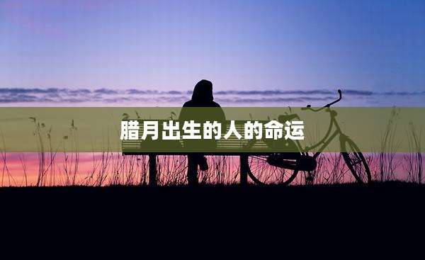 腊月出生的人的命运