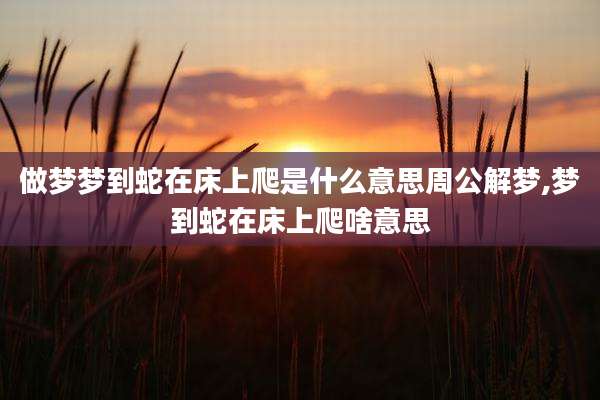做梦梦到蛇在床上爬是什么意思周公解梦,梦到蛇在床上爬啥意思