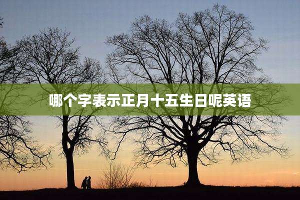 哪个字表示正月十五生日呢英语