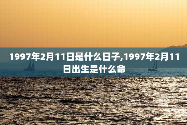 1997年2月11日是什么日子,1997年2月11日出生是什么命
