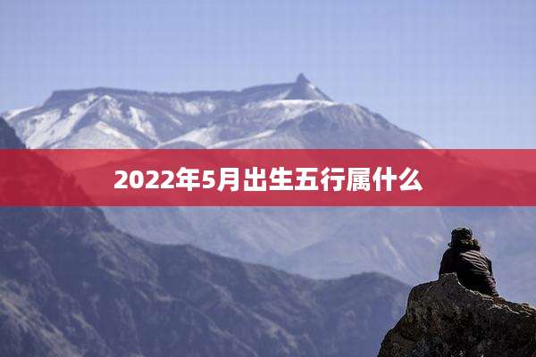 2022年5月出生五行属什么