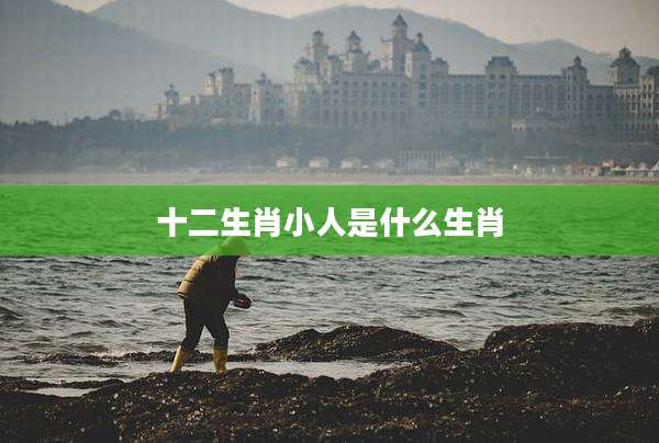 十二生肖小人是什么生肖
