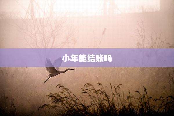 小年能结账吗