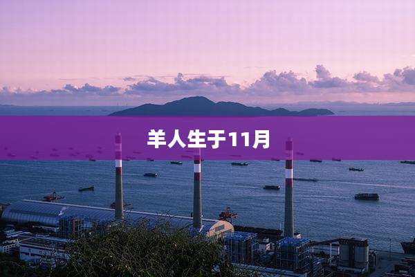 羊人生于11月