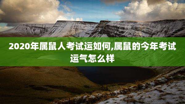 2020年属鼠人考试运如何,属鼠的今年考试运气怎么样