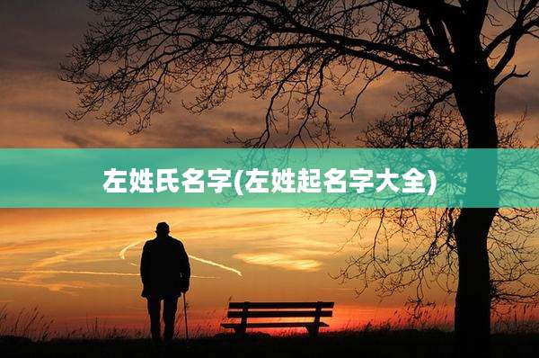 左姓氏名字(左姓起名字大全)