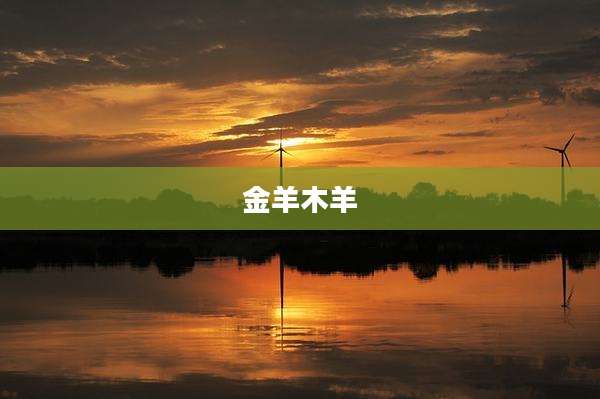 金羊木羊