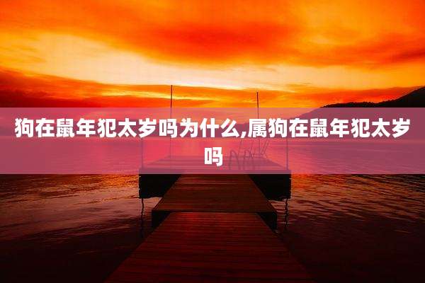 狗在鼠年犯太岁吗为什么,属狗在鼠年犯太岁吗