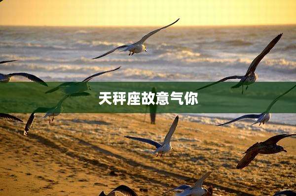 天秤座故意气你