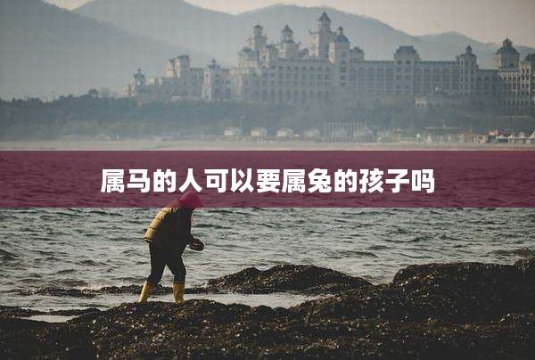 属马的人可以要属兔的孩子吗