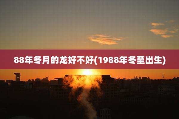 88年冬月的龙好不好(1988年冬至出生)