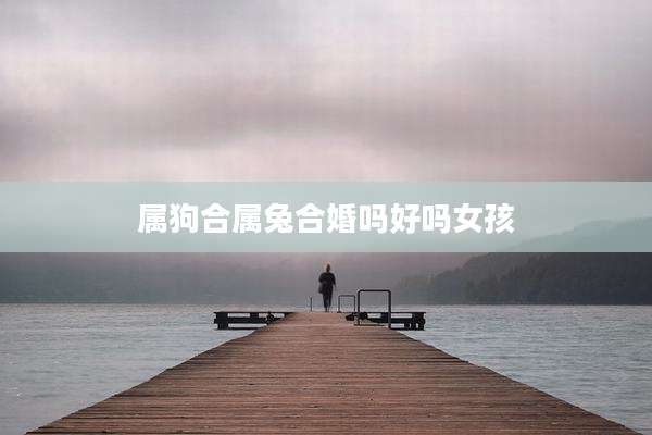 属狗合属兔合婚吗好吗女孩