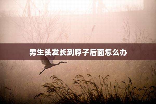 男生头发长到脖子后面怎么办