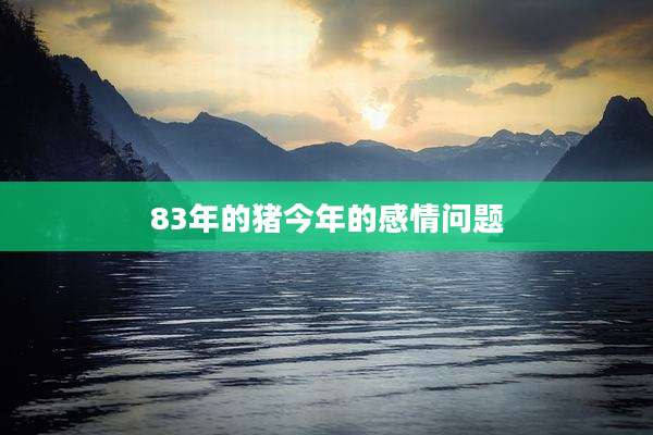 83年的猪今年的感情问题