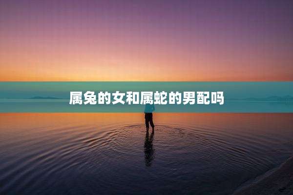 属兔的女和属蛇的男配吗