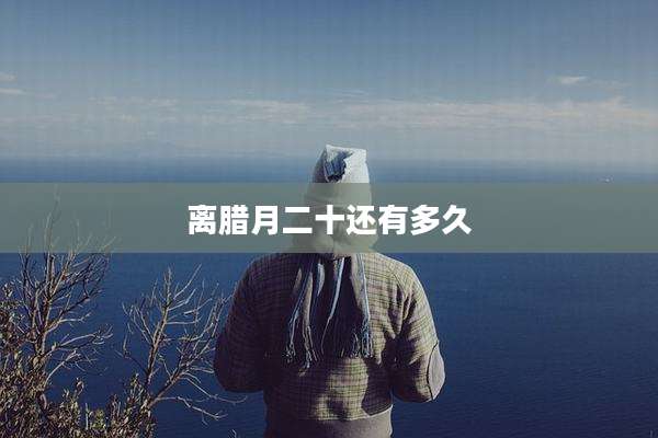离腊月二十还有多久