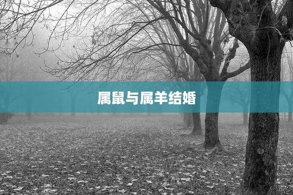属鼠与属羊结婚