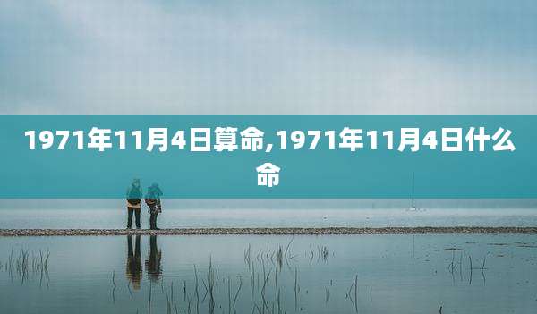 1971年11月4日算命,1971年11月4日什么命