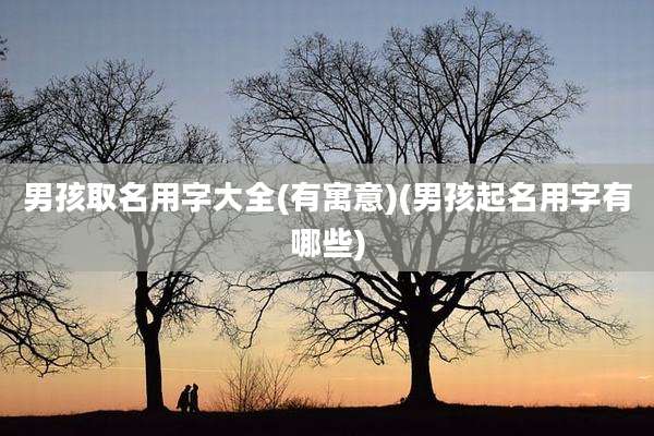 男孩取名用字大全(有寓意)(男孩起名用字有哪些)
