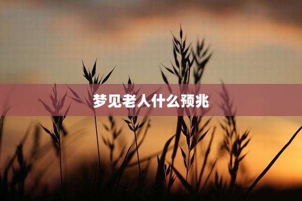 梦见老人什么预兆