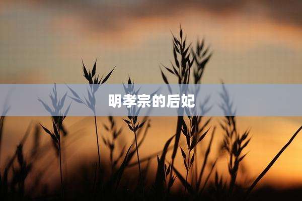 明孝宗的后妃