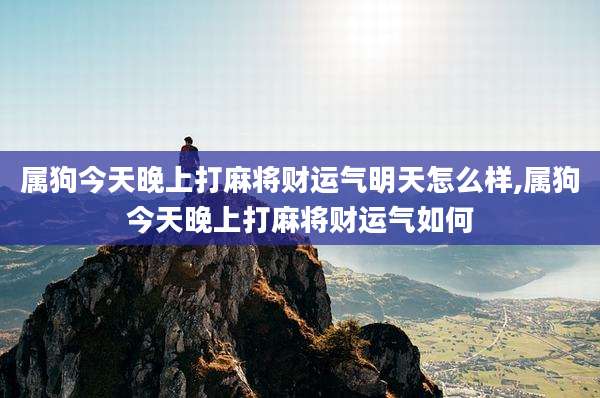 属狗今天晚上打麻将财运气明天怎么样,属狗今天晚上打麻将财运气如何