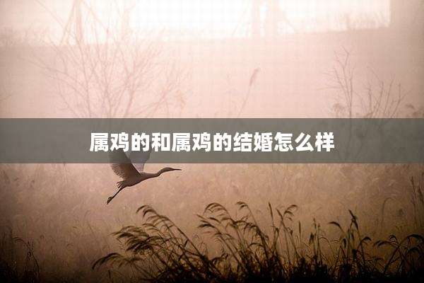 属鸡的和属鸡的结婚怎么样